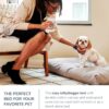 Naturepedic Organic Small Pet Bed - Super Plush Dog & Cat Beds - Ultra Supportive Dog Bed Mat - Ideal Pet Bed with No Polyurethane Foam - 23" x 17" x 3"