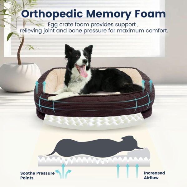 Miguel Orthopedic Dog Bed with Removable Washable Cover Memory Foam Cat Bed for Small Dogs Calming Pet Bed with Sides, Sofa Dog Couch, Egg Foam Support, Non-Slip Bottom, Brown 24 inch