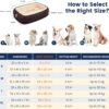 Miguel Orthopedic Dog Bed with Removable Washable Cover Memory Foam Cat Bed for Small Dogs Calming Pet Bed with Sides, Sofa Dog Couch, Egg Foam Support, Non-Slip Bottom, Brown 24 inch