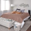 Furhaven Waterproof & Non-Slip King Size Mattress Cover Protector for Dogs & Cats, Washable, For Beds, Couches, & Car Seats - Quilted Twill Blanket Mattress Cover - Brownstone, Jumbo/King Size