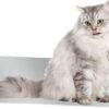 TOYANDONA Cooling Pad for Dogs Cats Aluminum Pet Bed Outdoor Ice Mat Pet Cage Sleeping Pad
