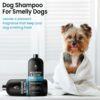 Dog Shampoo and Conditioner Set for Itchy Skin, Allergies & Odor – 2-in-1 Calming Formula with Lavender, Rosemary & Biotin – Moisturizing & Detangling – Safe for Puppies & All Breeds – 16 oz x 2