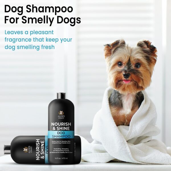 Dog Shampoo and Conditioner Set for Itchy Skin, Allergies & Odor – 2-in-1 Calming Formula with Lavender, Rosemary & Biotin – Moisturizing & Detangling – Safe for Puppies & All Breeds – 16 oz x 2