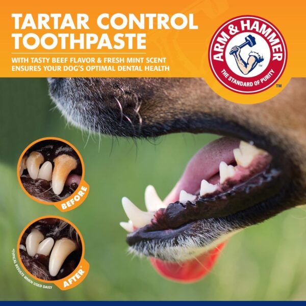 Arm & Hammer for Pets Tartar Control Kit for Dogs Contains Toothpaste, Toothbrush & Fingerbrush Reduces Plaque & Tartar Buildup Safe for Puppies, 3-Piece Kit, Beef Flavor (Pack of 48)