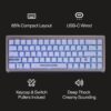 Higround Summit 2.0 Slate 65% Mechanical USB Wired Gaming Keyboard, Dreamland Linear Switches, Programable RGB, Hot-Swappable, Deep Thock Creamy Sounding PC Keyboard