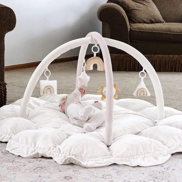 5-in-1 Thick & Plush Baby Play Gym, Baby Play Mats for Floor, Tummy Time Mat with 6 Toys, Cat Bed, Dog Bed, Convertible Stage-Based Developmental from Baby to Toddler, Ball Pit, Pet Cushion, Cloudico