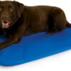 K&H Pet Products Cool Bed III Dog Cooling Mat, Indoor Outdoor Cooling Beds for Large Dogs, Chilling Pet Pad for in Home, Outdoor Houses, Crates, Yards, Porches - Large 44 X 32in Chill Blue