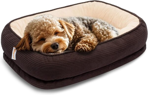 Miguel Orthopedic Dog Bed with Removable Washable Cover Memory Foam Cat Bed for Small Dogs Calming Pet Bed with Sides, Sofa Dog Couch, Egg Foam Support, Non-Slip Bottom, Brown 24 inch